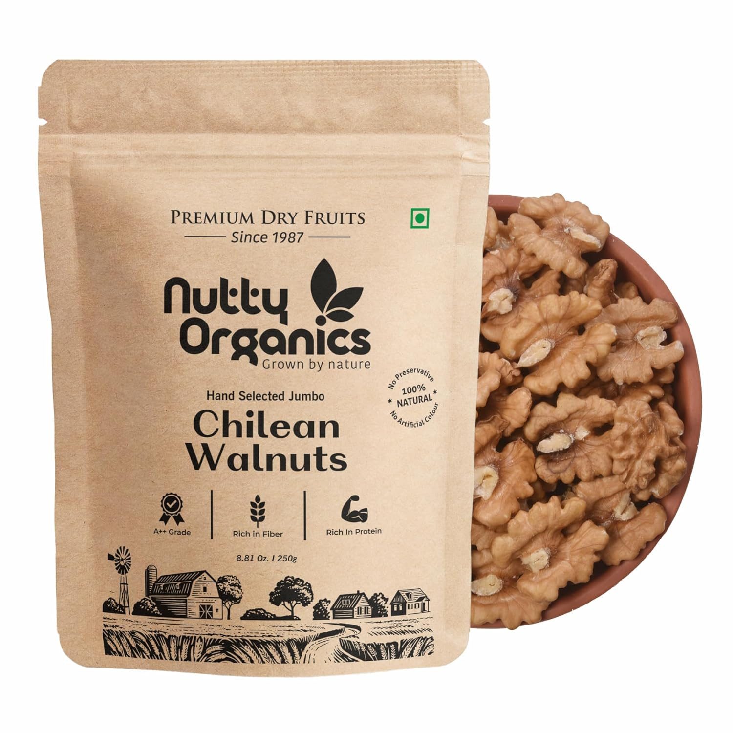 Nutty Organics Dried Walnut 500 Gm | Crunchy | Nutritious Tasty & Healthy Nuts Dry Fruits | Akhrot Giri | Rich in Protein