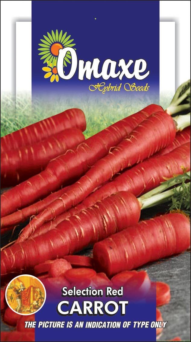 Omaxe Carrot Sel Red – 3 Packets Each Contains 10gm Seeds Pack Vegetable Seeds